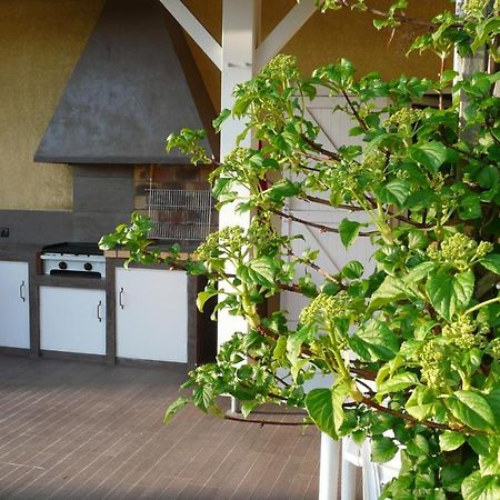 Au Bras D'Argent Bed & Breakfast Berthez Dış mekan fotoğraf